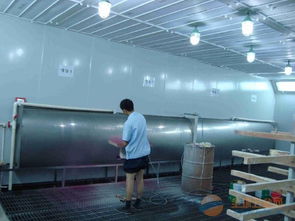 油漆噴漆廠廢氣處理中均四甲苯的達標(biāo)性分析