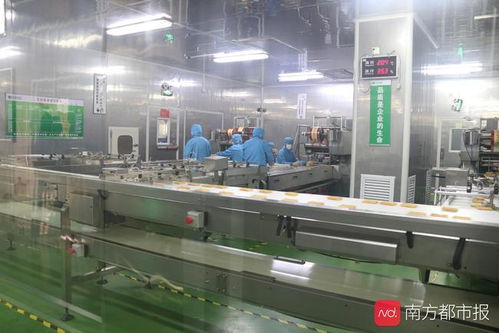 東莞“倍增計劃”申報啟動 新評價體系引領高質量發展，信息服務業務迎新機遇